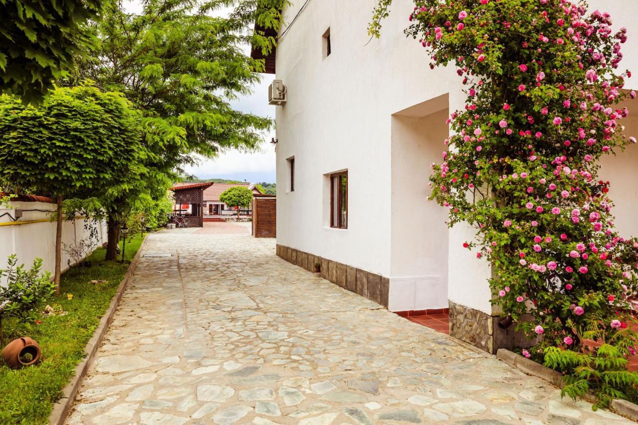 Pensiunea Iris Resort *