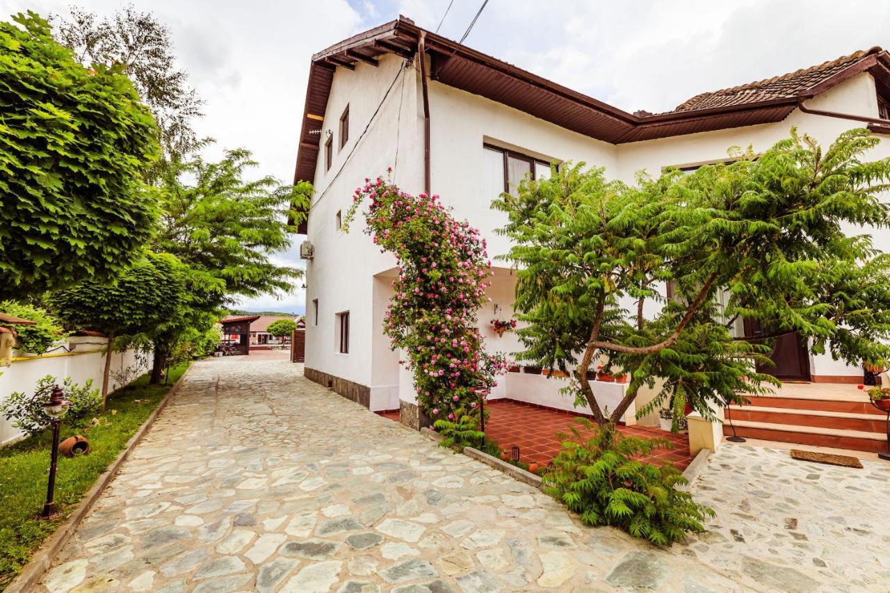 Pensiunea Iris Resort